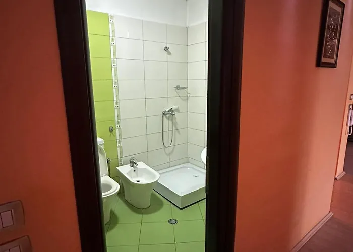 公寓 Fatjon' S 波格拉德茨